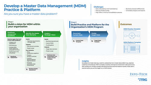 Develop a Master Data Management Practice and Platform